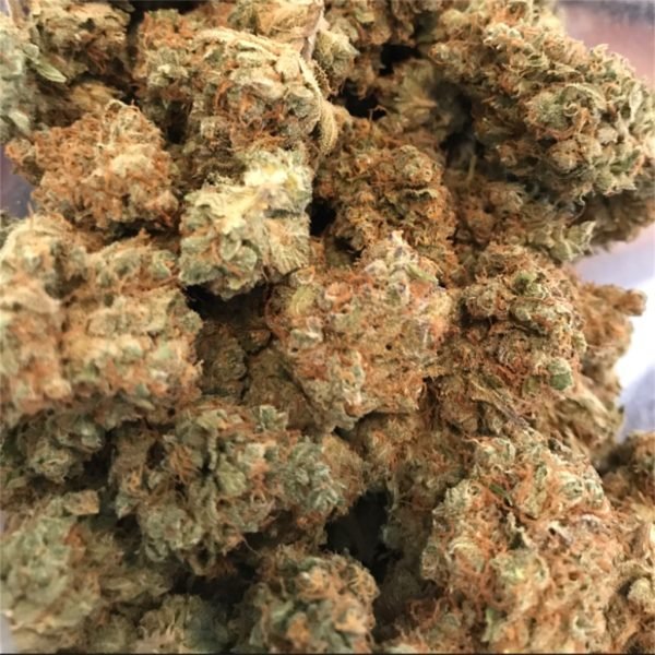 Blue-Cookies-1.jpg