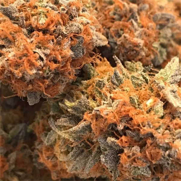 Cannatonic-1.jpg