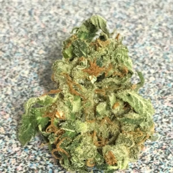 Casey-Jones-1.jpg