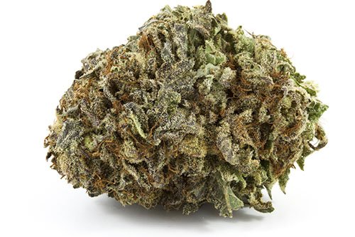 Darth-Vader-Indica-1-1.jpg