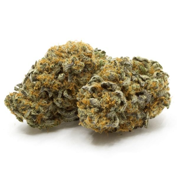 Durban-Cookies.jpg