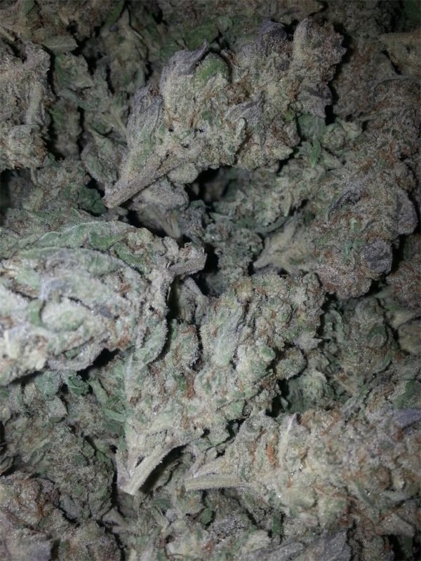 Khalifa-Kush-.jpg