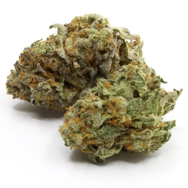 OG-Kush.jpg