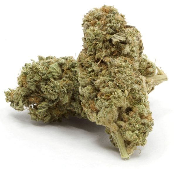 Sour-Power-Sativa-Hybrid.jpg