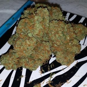 BUBBA KUSH - Image 1