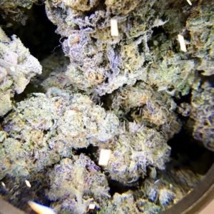 grape-ape-1.jpg