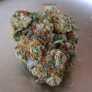 orange-kush.jpg