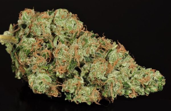 sour-diesel-1-1.jpg